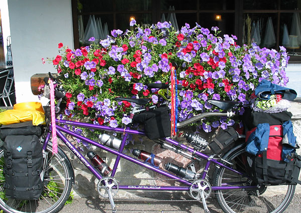 De Bloemenfiets