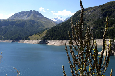 Lac du Chevril