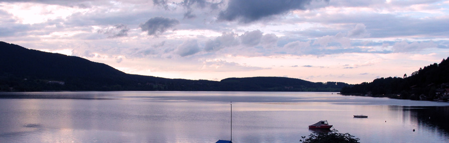 tegernseebijavond