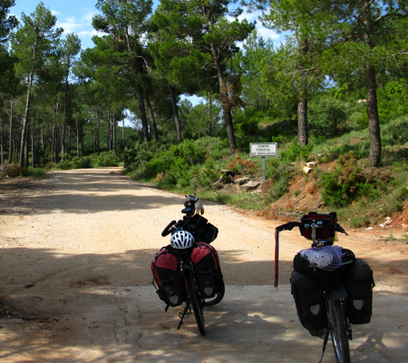 fietsenindeschaduw
