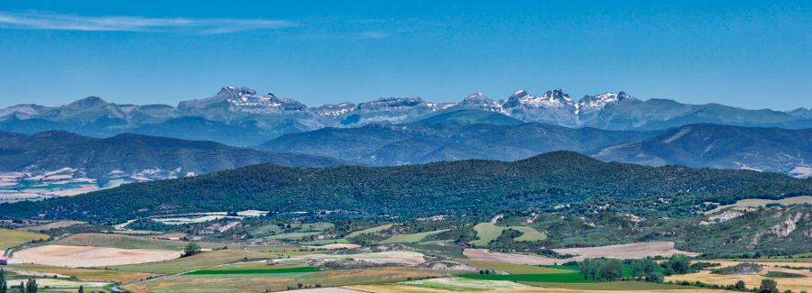 pyreneeen-1