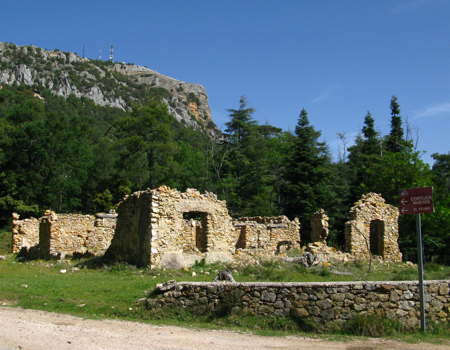 ruine