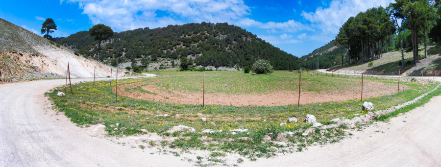 saltodemoro