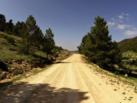 saltomoro1