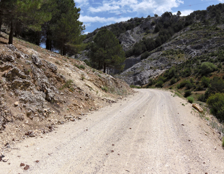 saltomoro3
