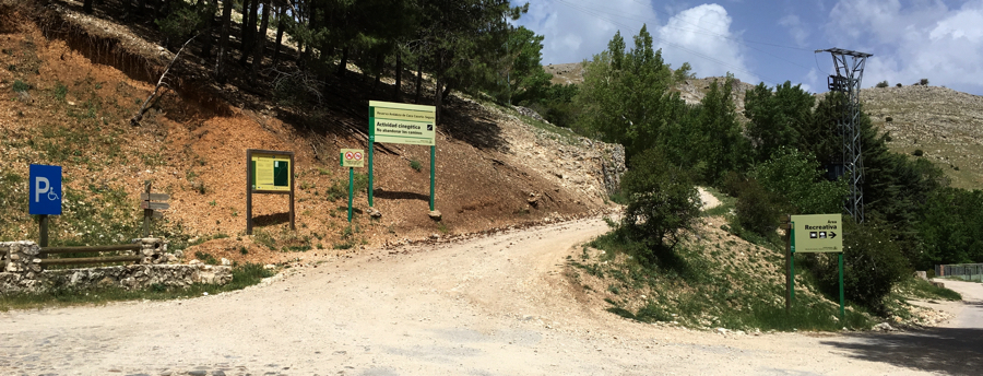 saltomoro6