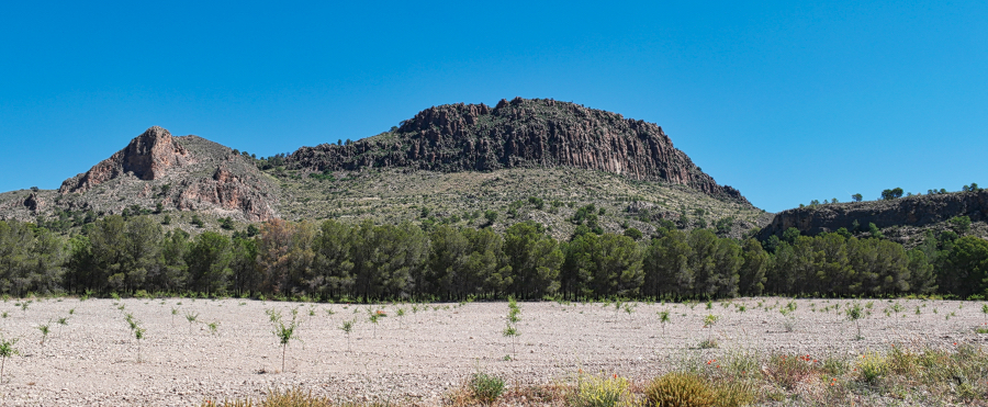vulkaanlandschap