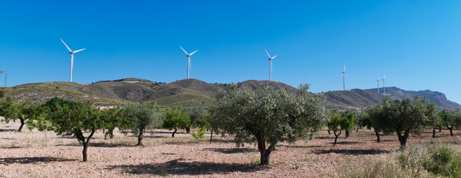 windmolensjumilla