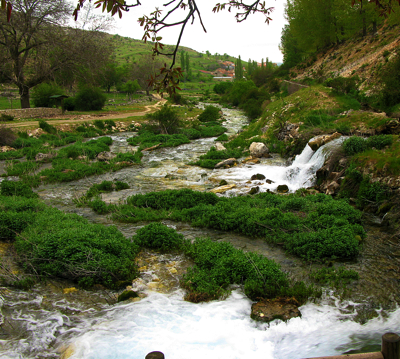 bronsegura