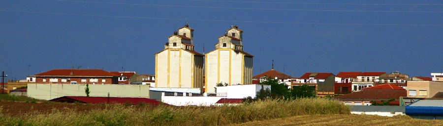 hinojosa-breed