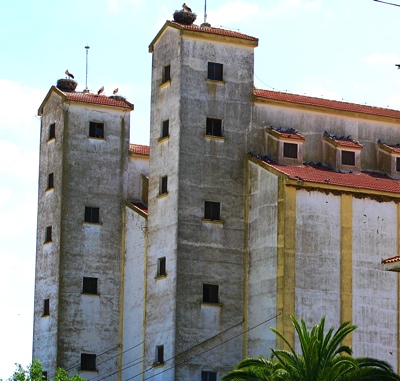 hinojosa