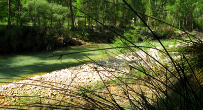 langsriosegura