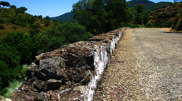 naarelpedroso