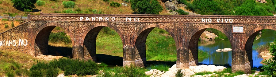 pantano-no-riovivo
