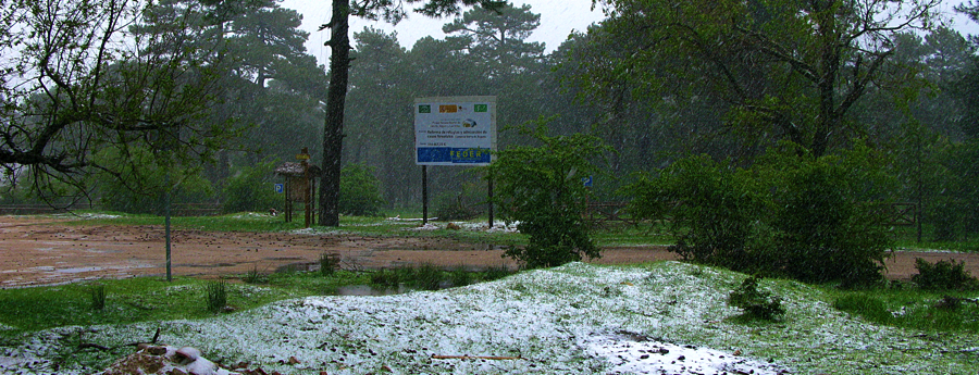 segurasneeuw-4
