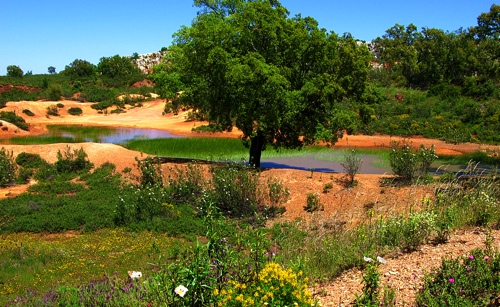 viaverdenorte-4