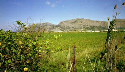 De bergen rond Orihuela