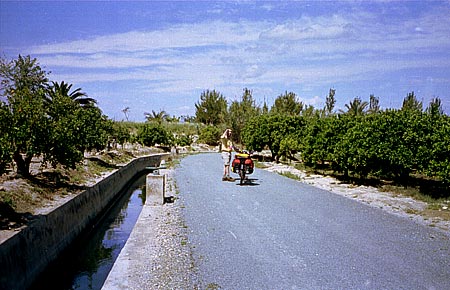 Camino de Servicio