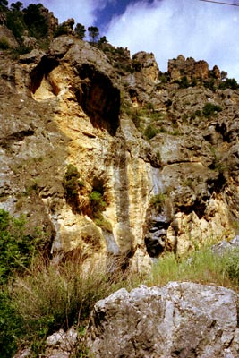 De Siertra Segura