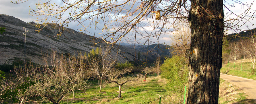 bronsegura2