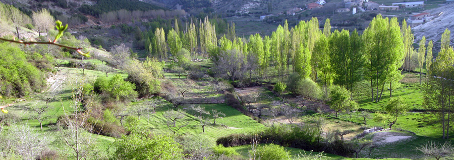 bronsegura3