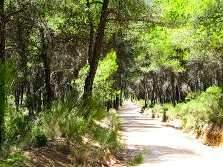 wandelen_espuna