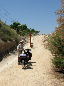 elmaigmo-2012