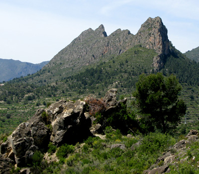 Bergkammetje