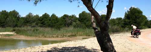Duinen