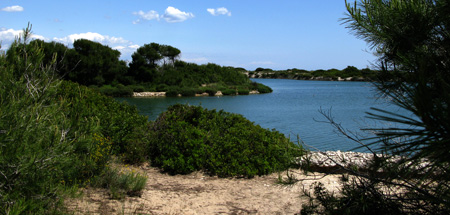 Duinen