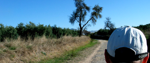 Sierra Subbetica