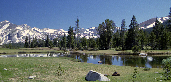 Meadows Flat