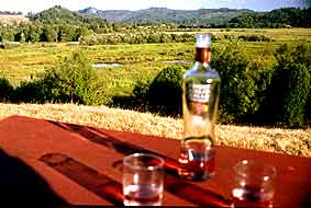 White Zinfandel op tafel