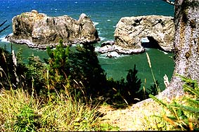 Samuelboardmansp