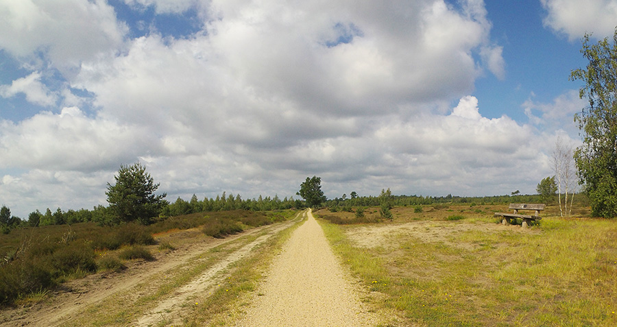 StrabrechtseHeide