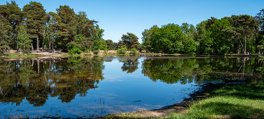 buurserzand