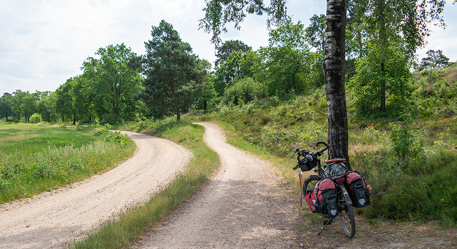 maasduinen-1
