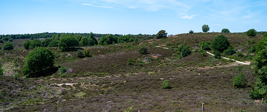 posbank