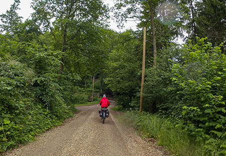20220608-entoenbegonderegen