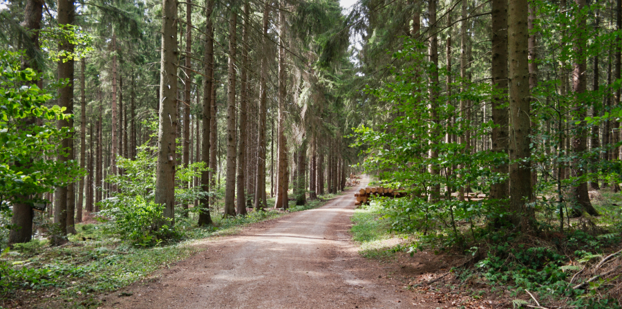02-09-naturparkhoheseifel