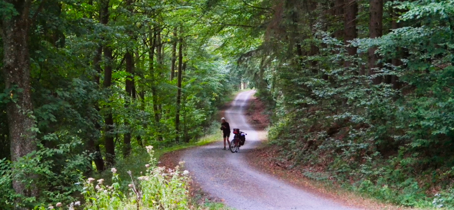03-09-boslangsrurtal