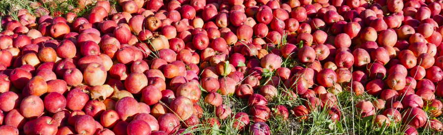 08-09-appeltjes