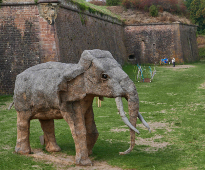 14-09-olifant
