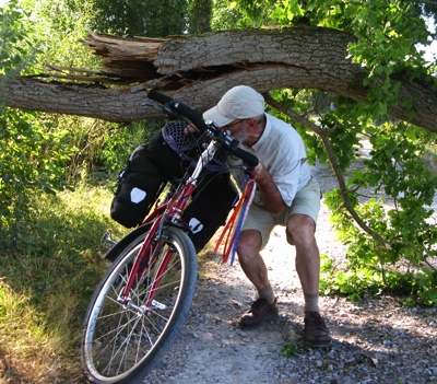 bukken