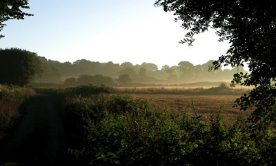 goudenzon