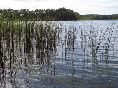 bergseealtgaarz