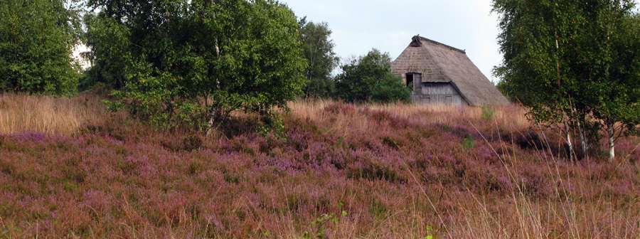 heide-1