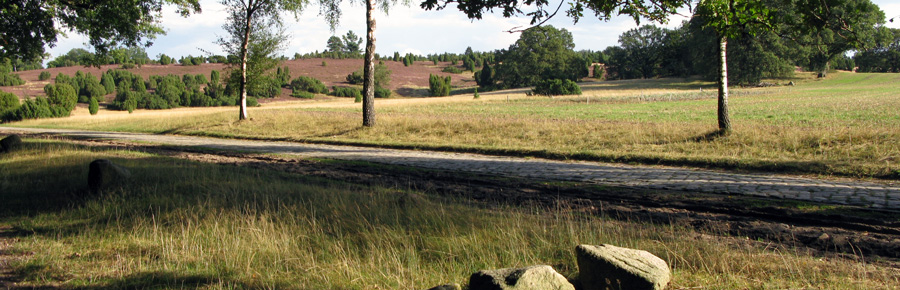 heide-3