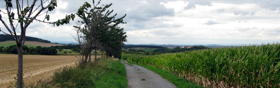 landschap-endorf