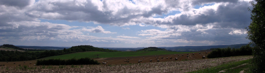 mooieluchtcattenstedt